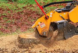 Best Commercial Tree Services  in Rising Sun, MD
